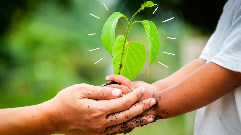 what_does_sustainability_mean what_does_sustainability_mean