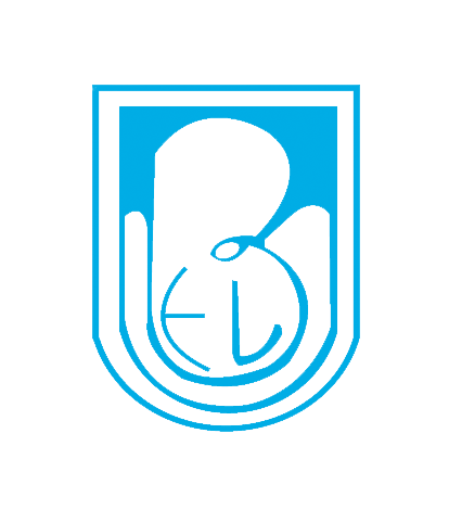 The Bengal Electric Ltd.