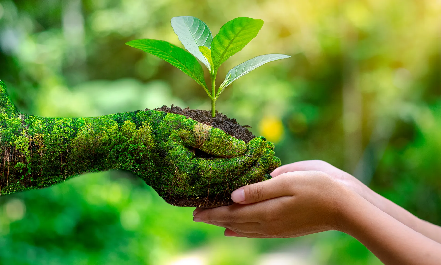 UN-Policies-about-Environment-and-their-Impact