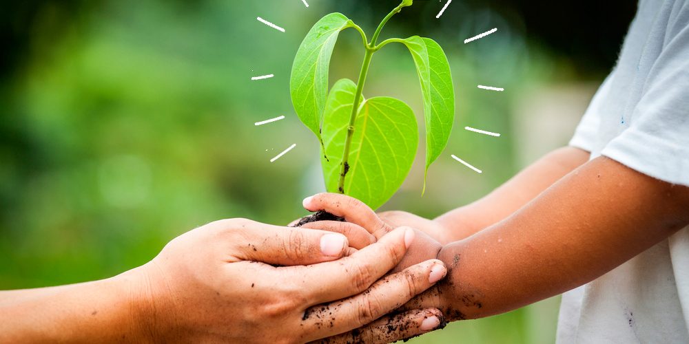 what_does_sustainability_mean